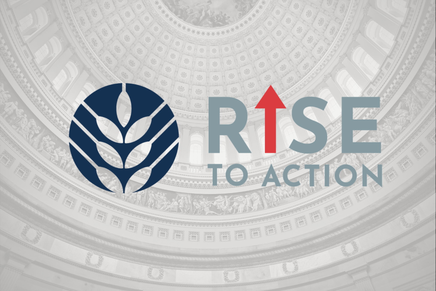 rise to action