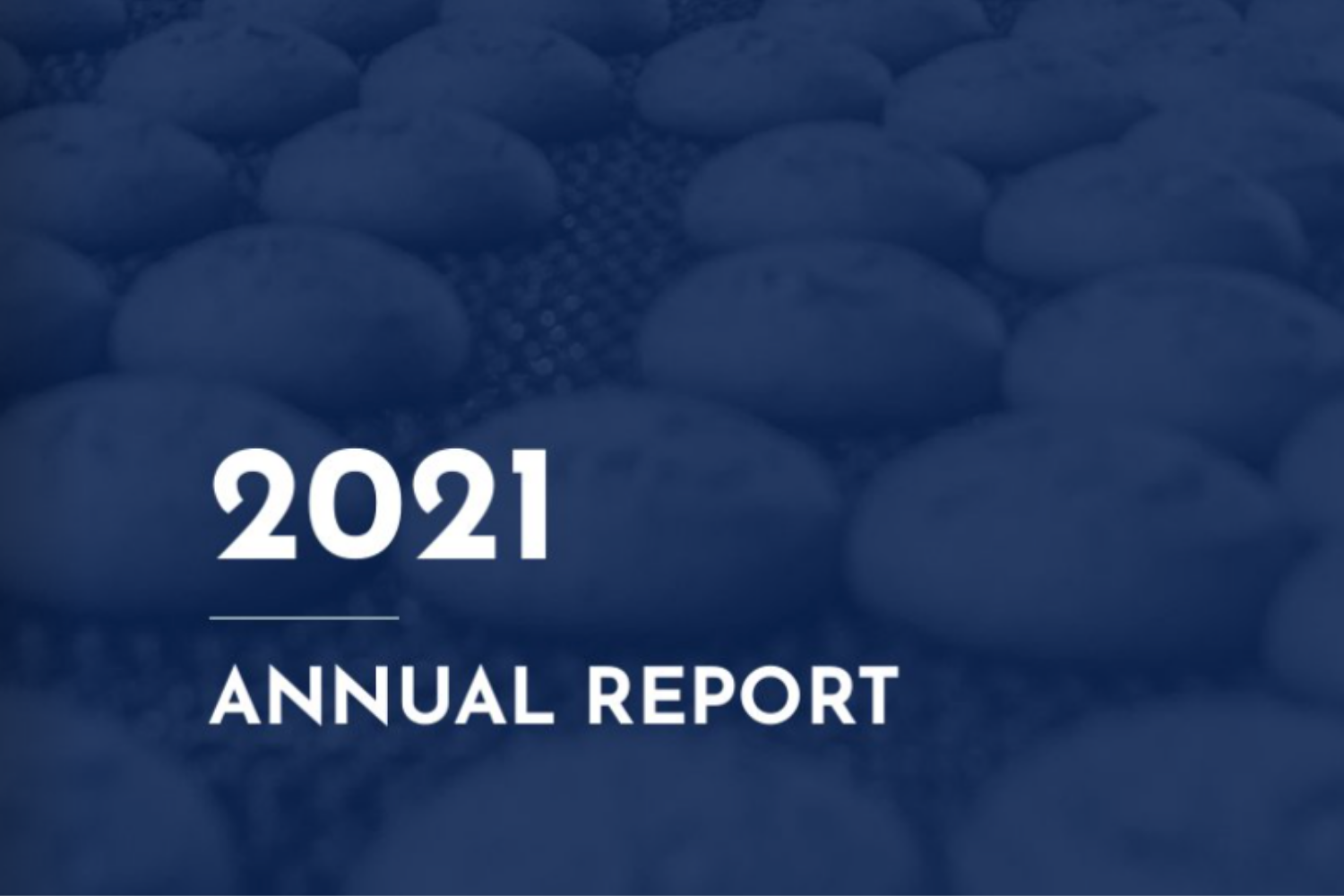 2021 annual report