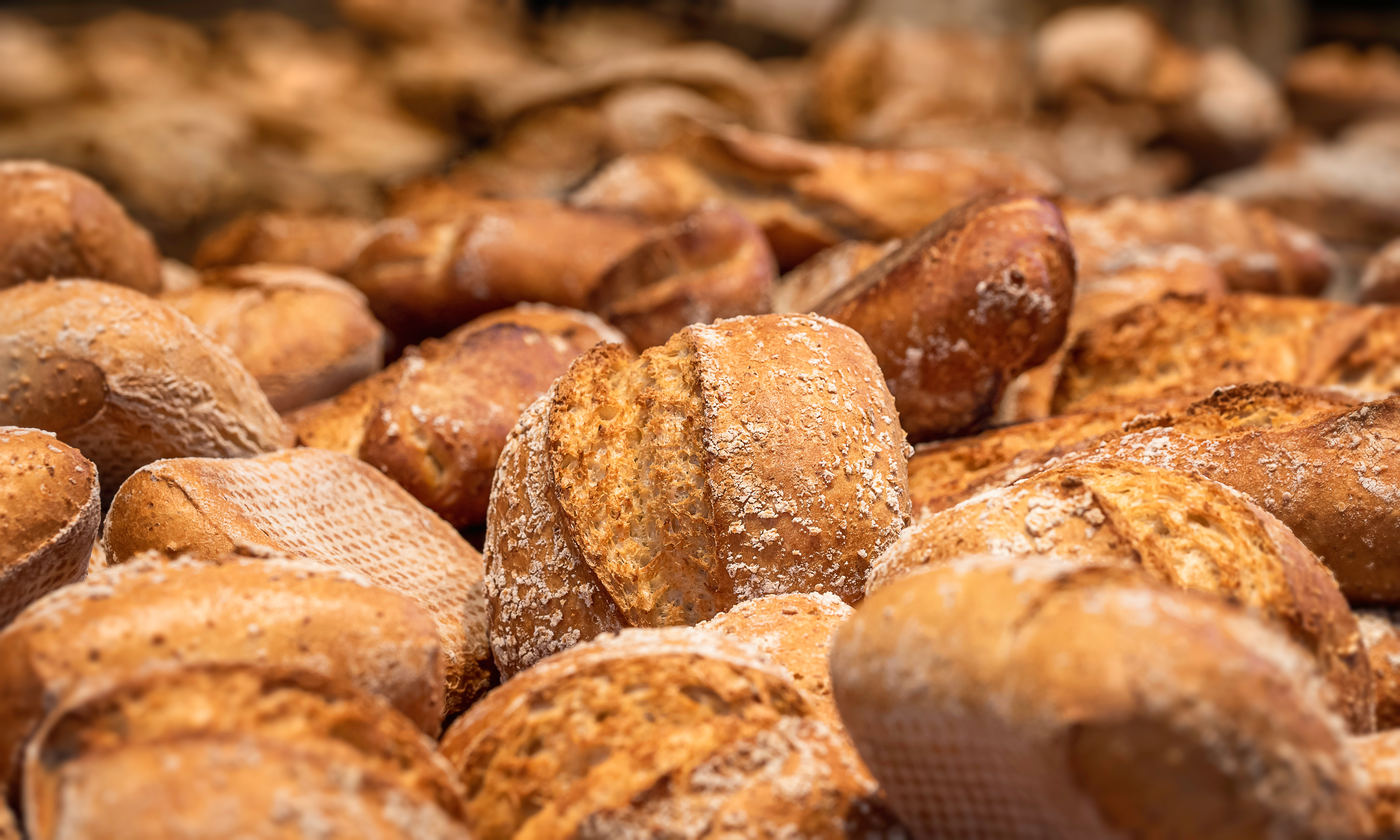 sourdough bread