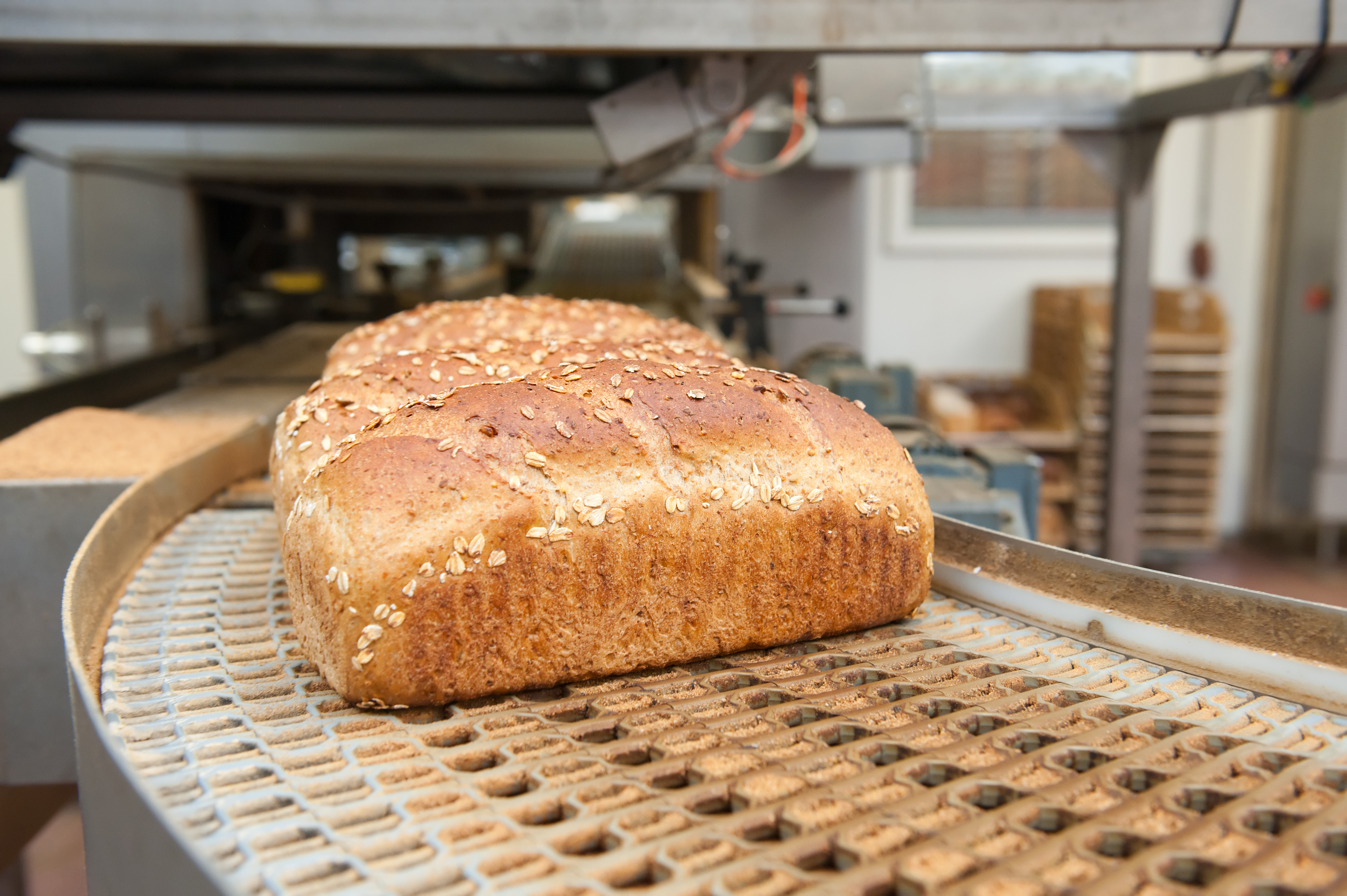 bread on line